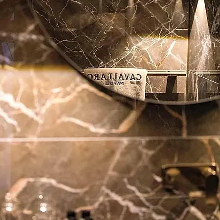 Hotel Cavallaro Haarlem